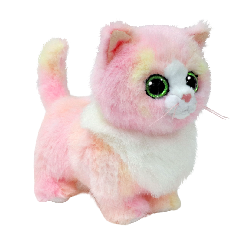 Small Lady Cat