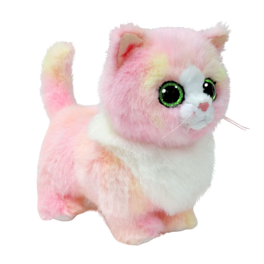 Small Lady Cat