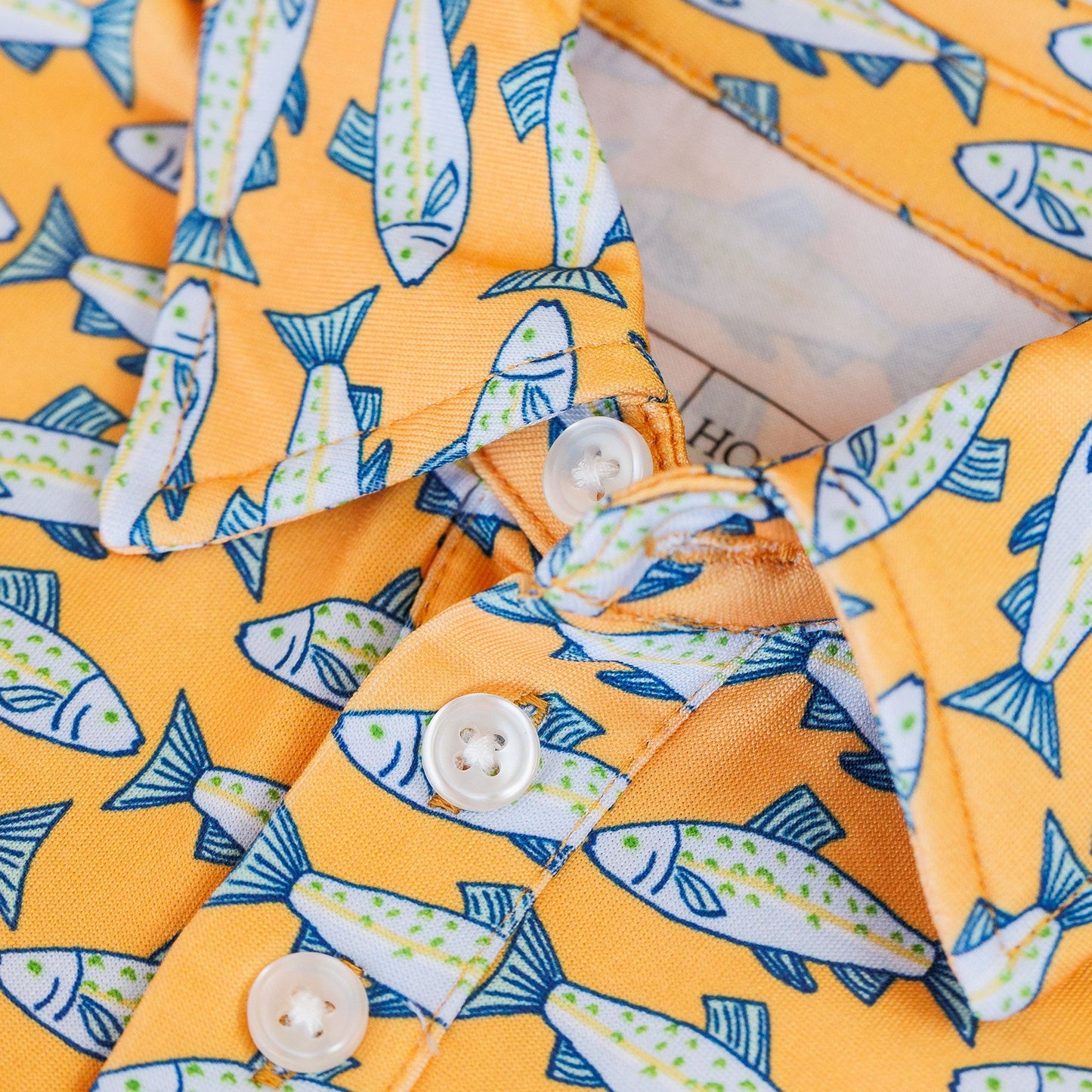 Amalfi Fish Kyle Polo