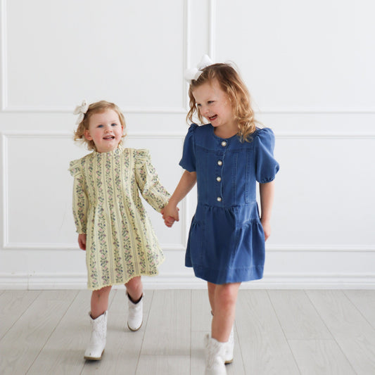 Denim Brynn Dress