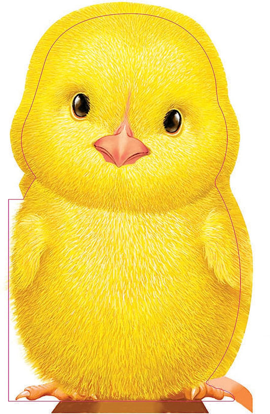 Furry Chick Book