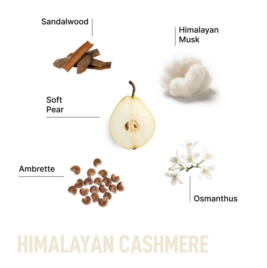 Laundry Sauce Scent Booster - Himalayan Cashmere