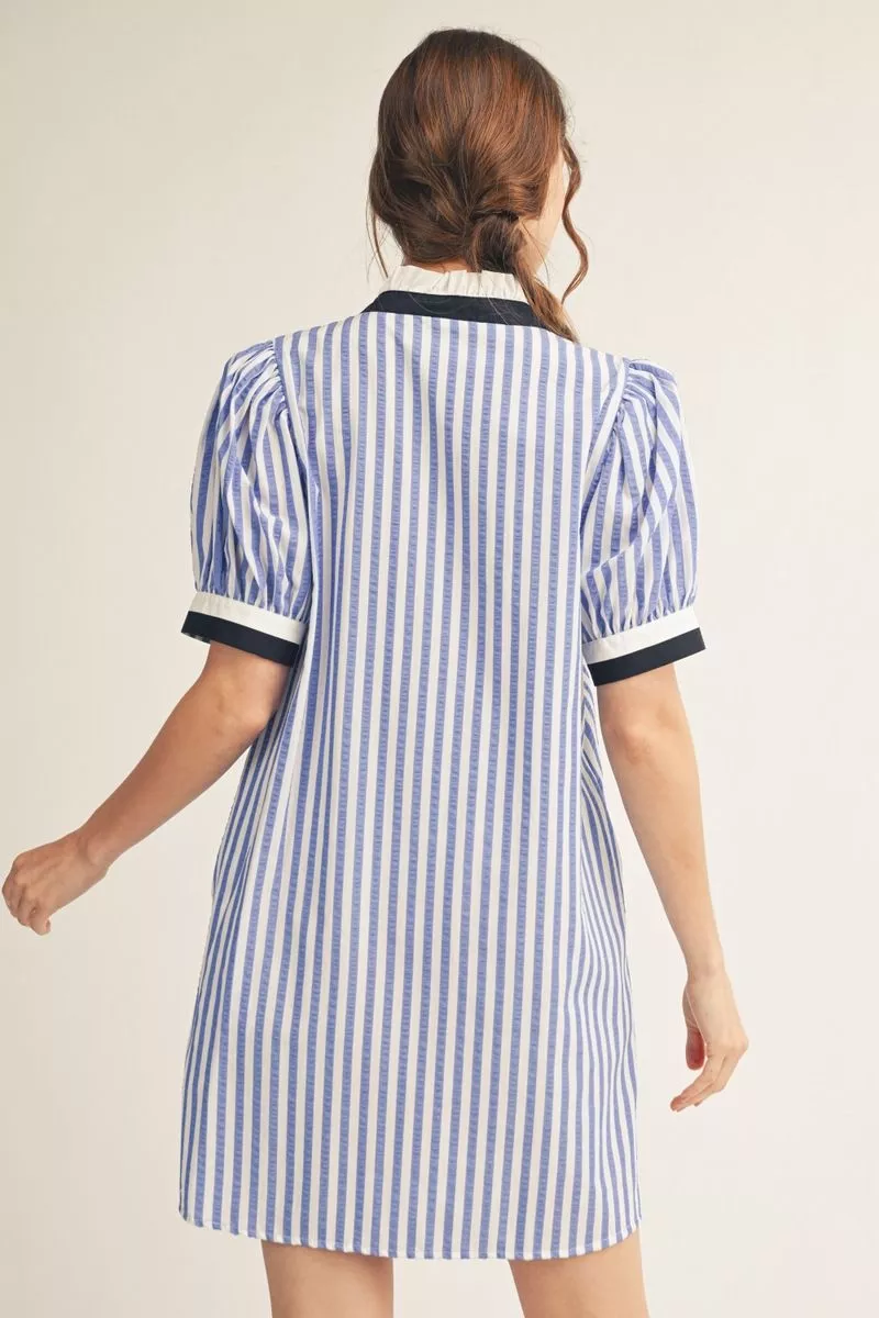Blue Stripe Shift Dress