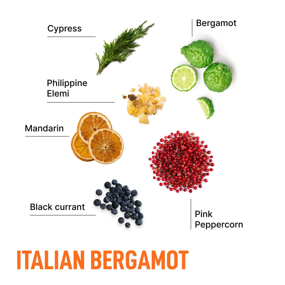 Laundry Sauce Laundry Pods - Italian Bergamot