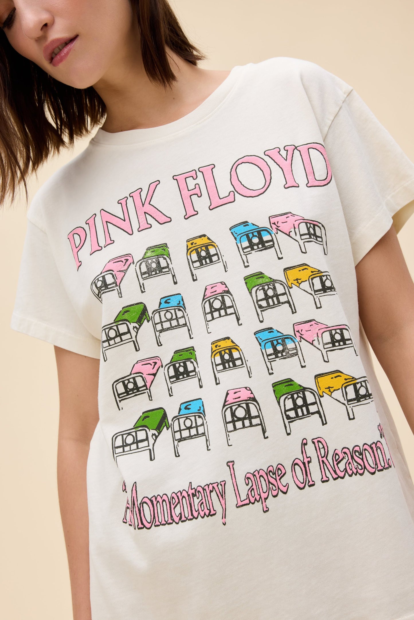 Pink Floyd Momentary Lapse