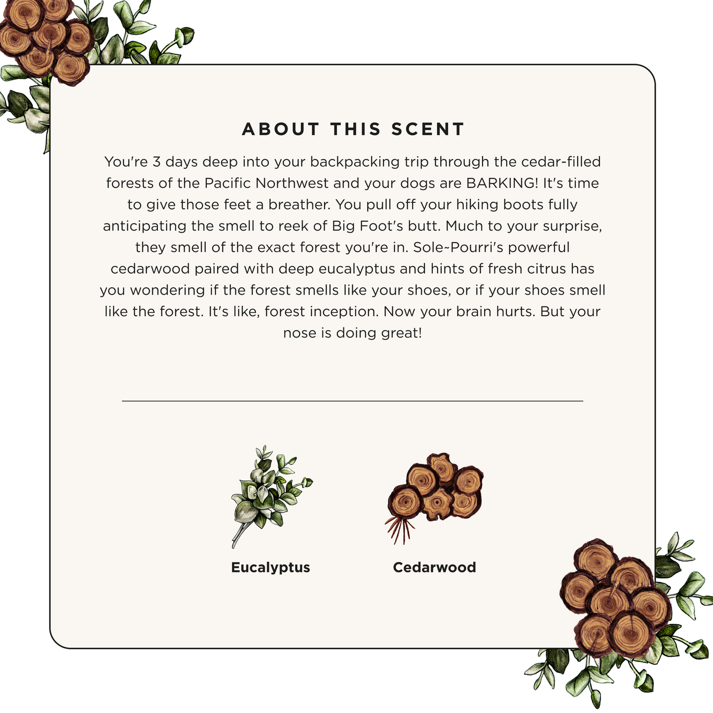 Sole-Pourri - Cedarwood Eucalyptus