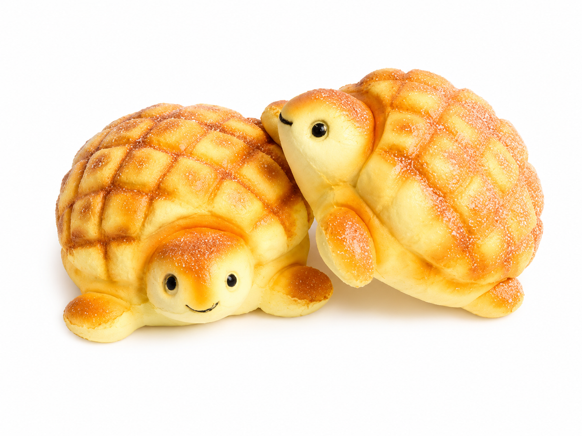 Turtle Bread Squishy