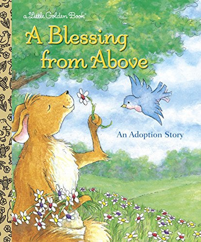 A Blessing From Above Book