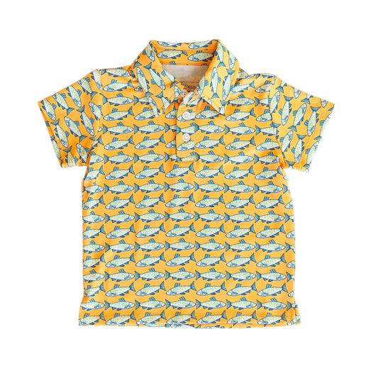 Amalfi Fish Kyle Polo