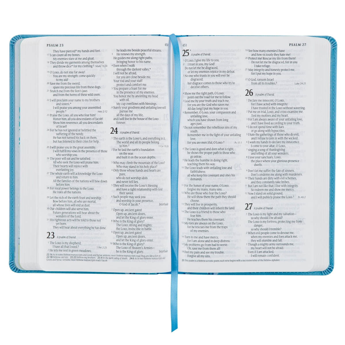 Blue Keepsake Bible