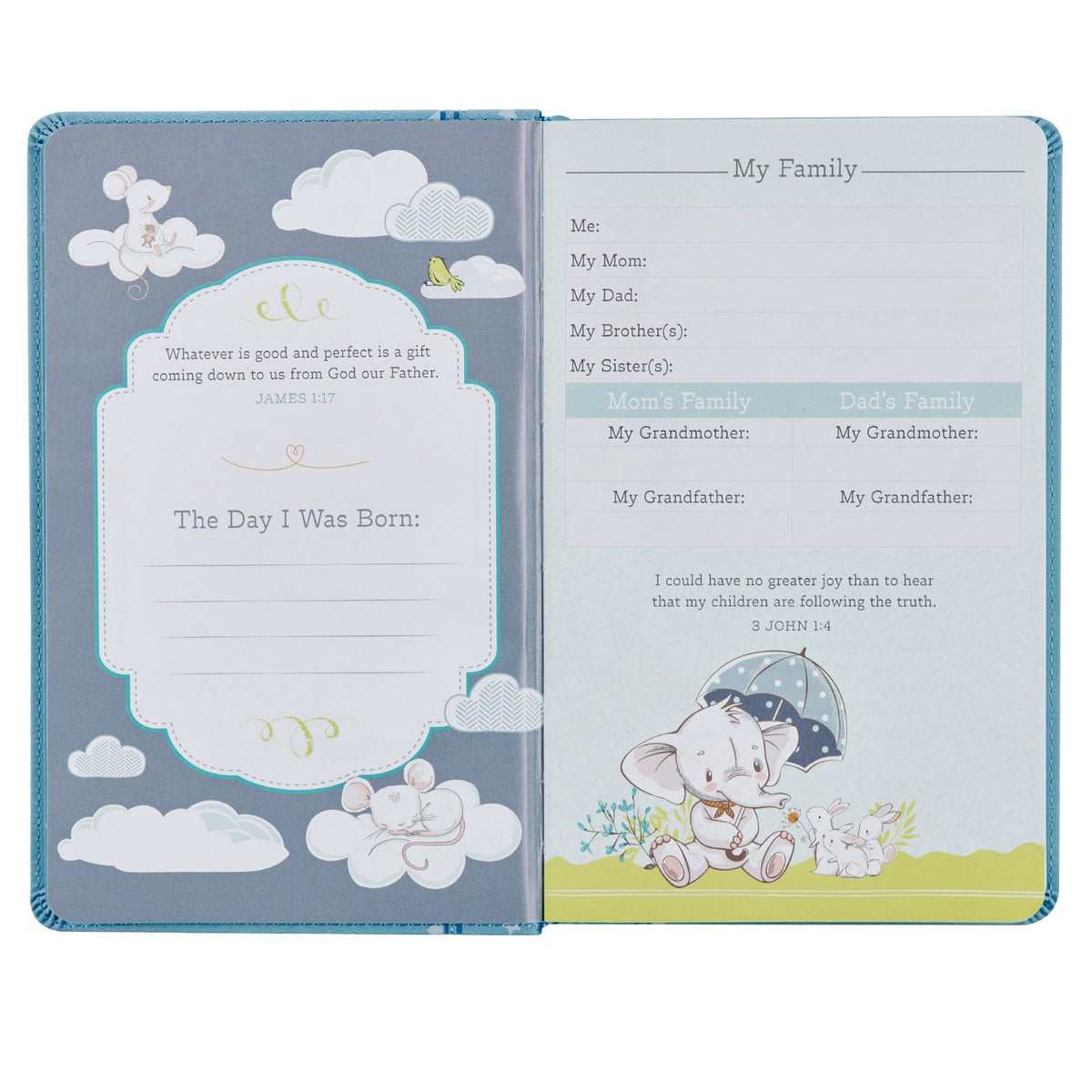 Blue Keepsake Bible