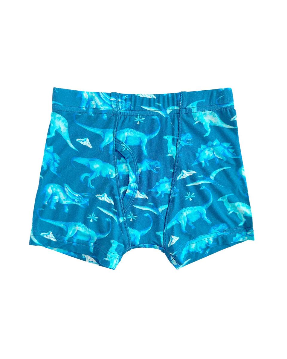 Walter Boy's Briefs Set (Box of 3)