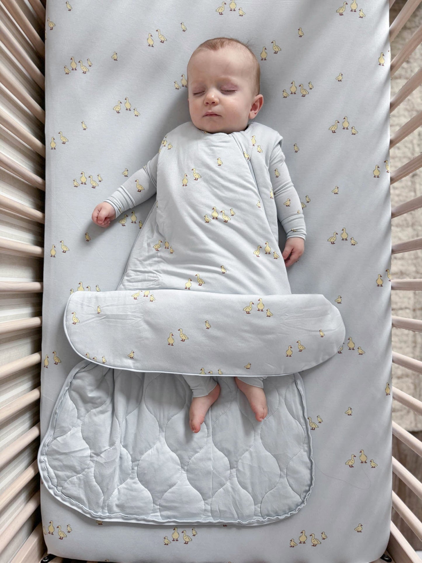 Friends 1.0 Sleep Bag