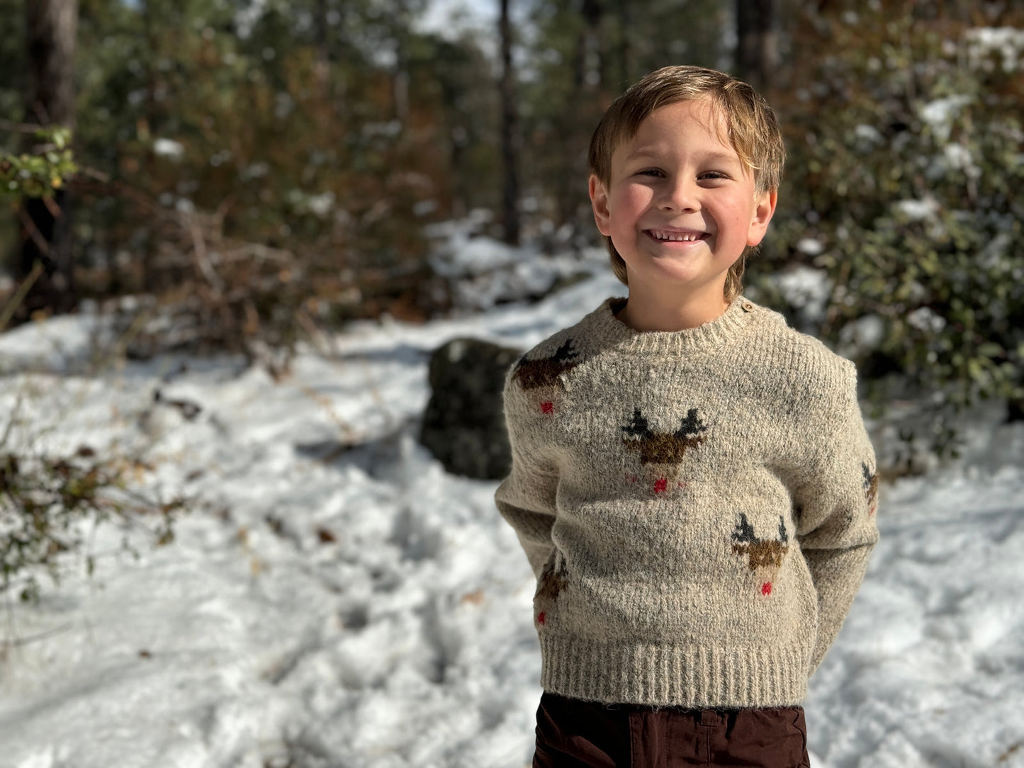 Rudy Beige Reindeer Sweater