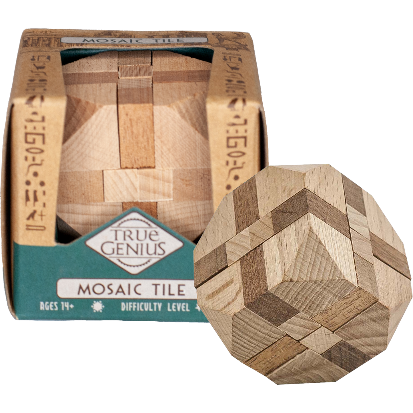 Mosaic Tile True Genius Puzzle