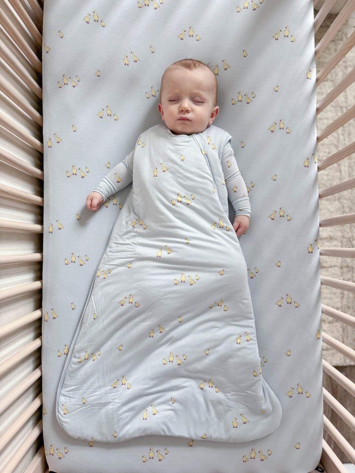 Friends 1.0 Sleep Bag