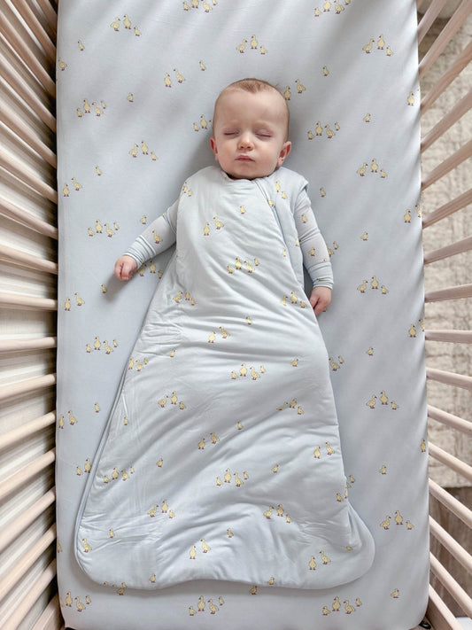 Friends 1.0 Sleep Bag