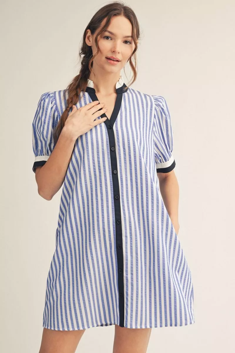 Blue Stripe Shift Dress