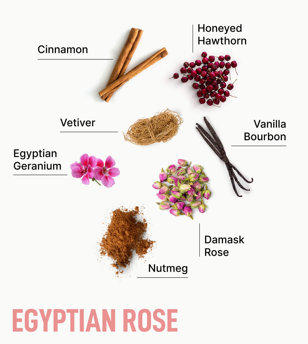 Laundry Sauce Dryer Sheets - Egyptian Rose
