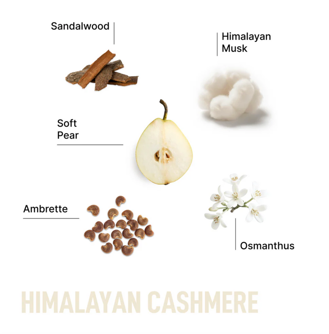 Laundry Sauce Dryer Sheets - Himalayan Cashmere