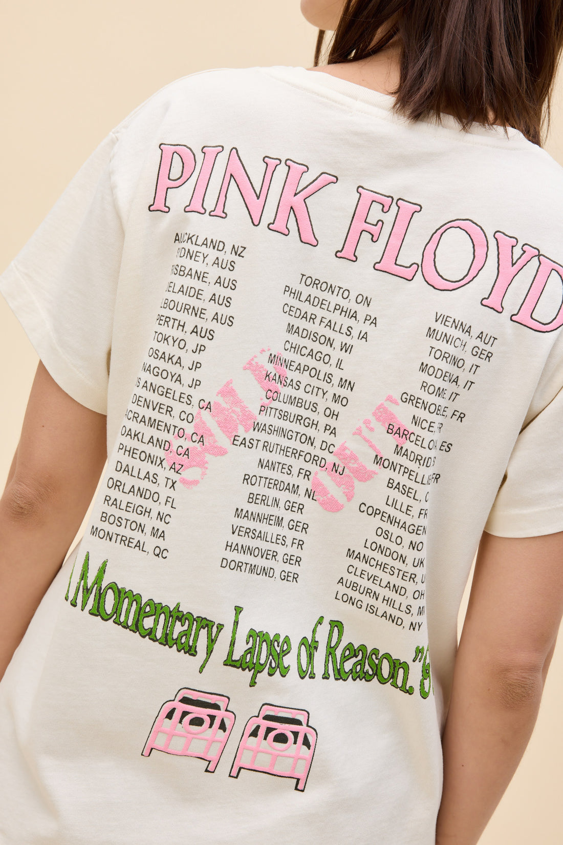 Pink Floyd Momentary Lapse