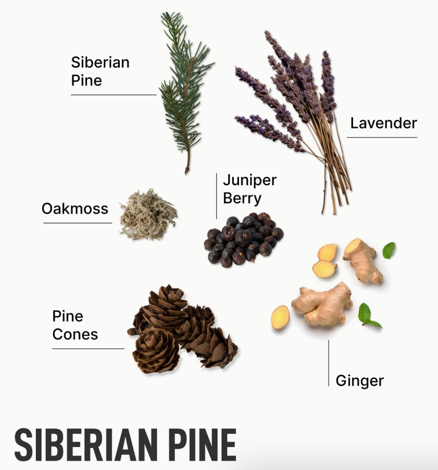 Laundry Sauce Dryer Sheets - Siberian Pine