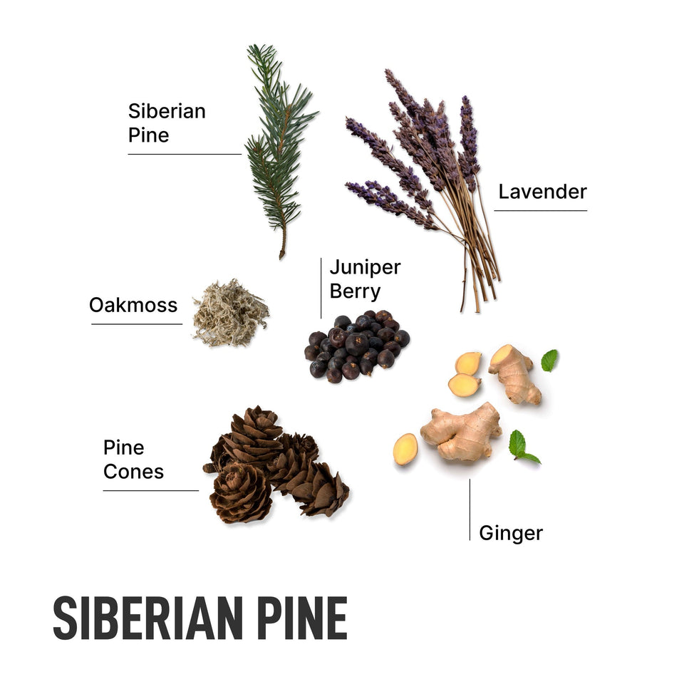 Laundry Sauce Scent Booster - Siberian Pine