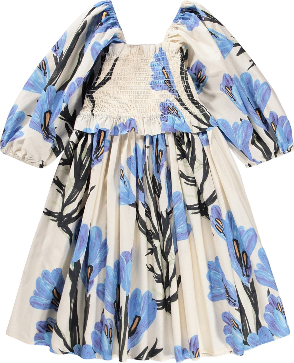 Painted Crocus Chipie Dress