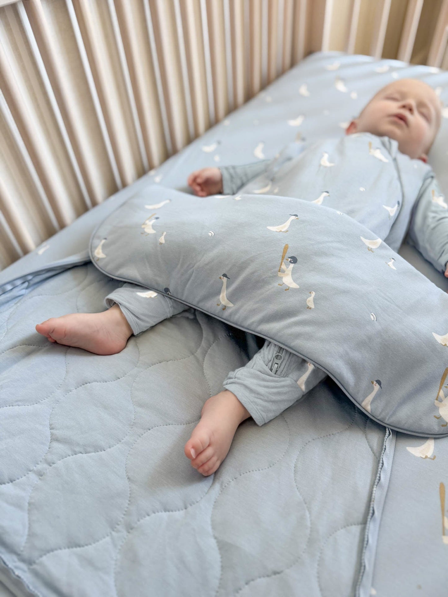 Baseball Goose 1.0 Sleep Bag