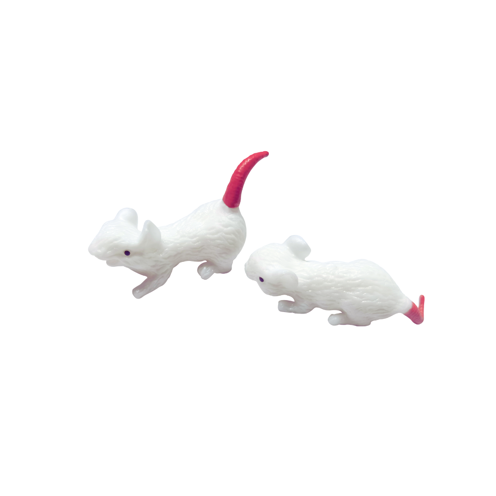 Mice & Cheese Squishi