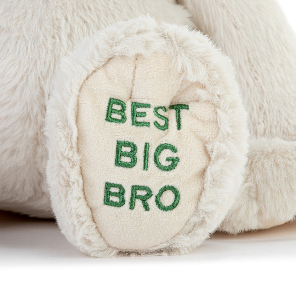 Best Big Brother Plush Dog