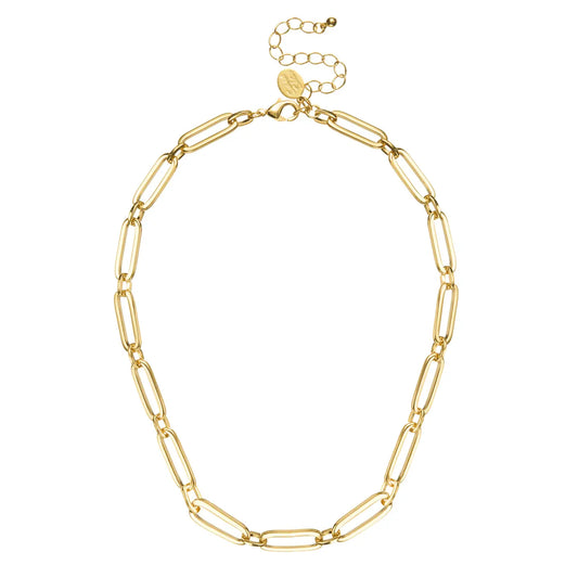 Mixed Link Paperclip Necklace