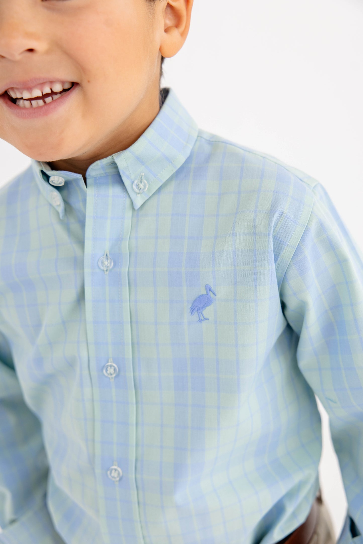 Audubon Park Plaid Deans List Dress Shirt