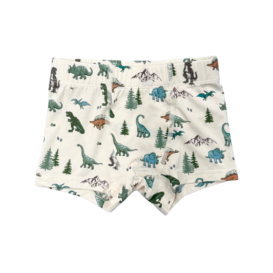 Dino Land Boxer