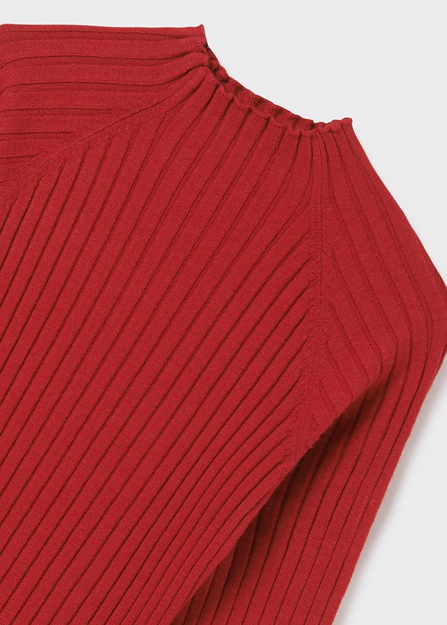 Red Ribbed High Neck