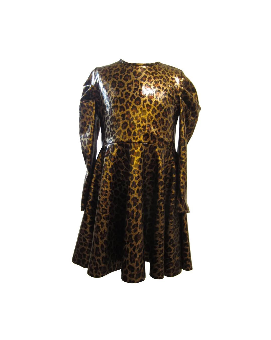 Leopard Skater Dress